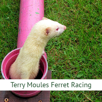 Terry Moules Ferret Racing