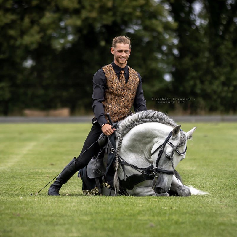 OG Performance Horses