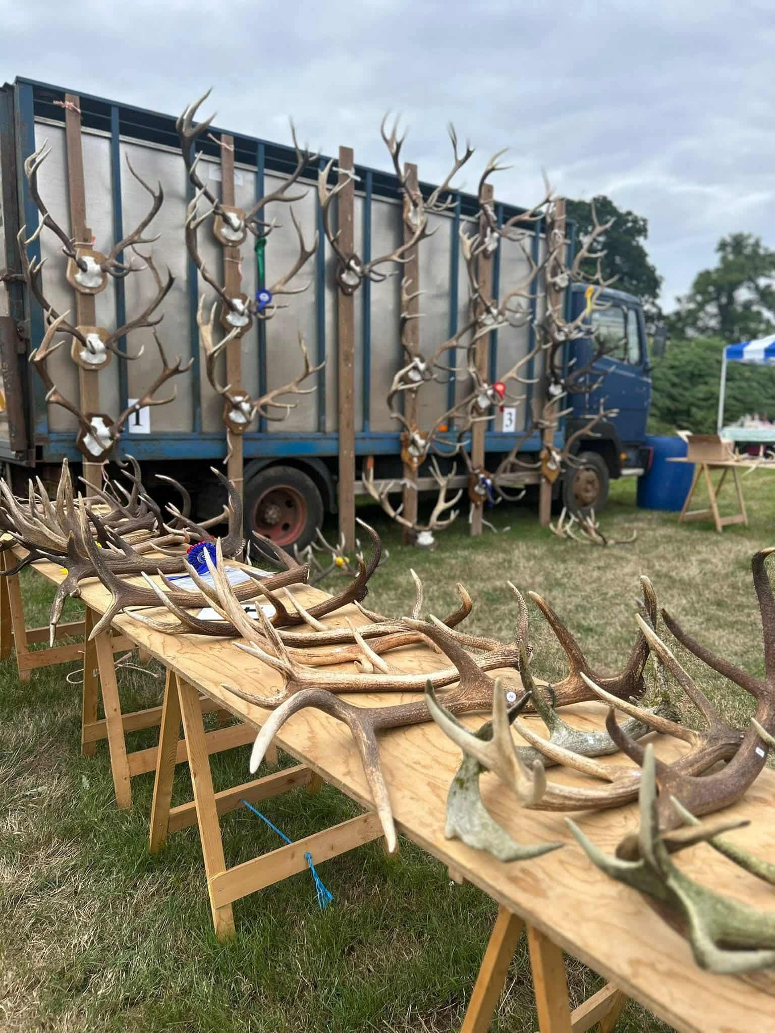 Antler Competition